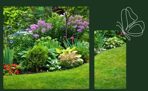 aménagement jardin Chaillé-les-Marais-5