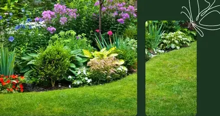 aménagement jardin Nalliers-4