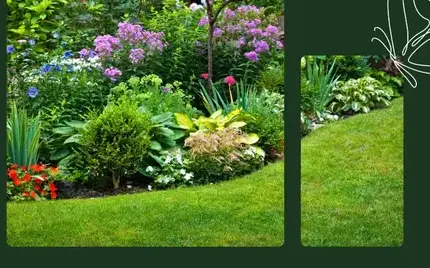 jardinier Chaillé-les-Marais-3