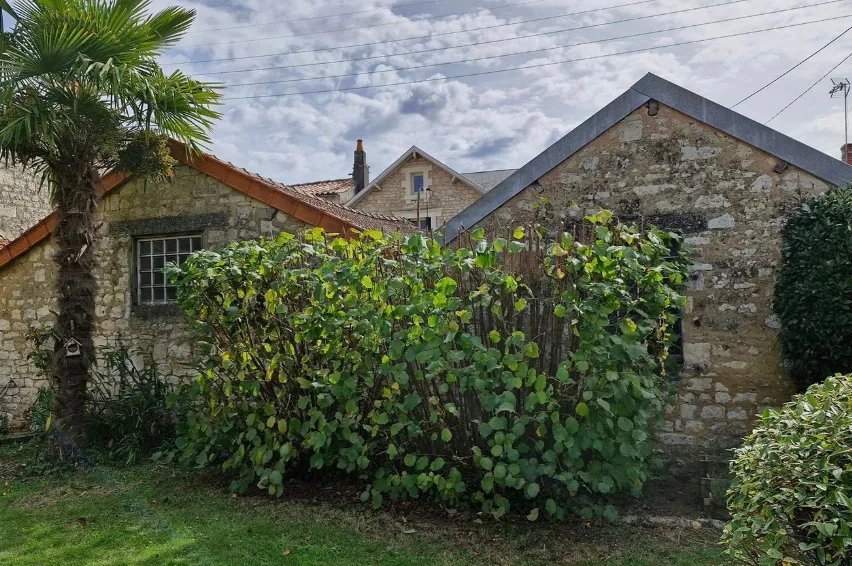 paysagiste fontenay le comte