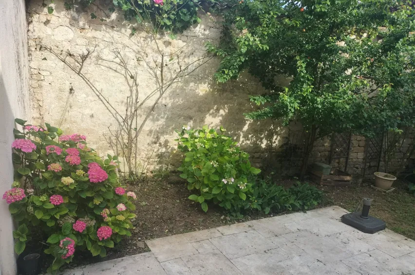 taille de haies sainte hermine